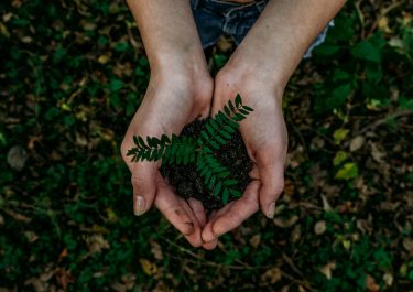 noah-buscher-x8ZStukS2PM-unsplash noah-buscher-x8ZStukS2PM-unsplash